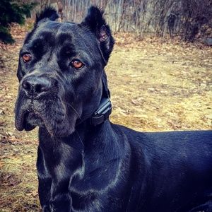 Meet your Posher, Paula